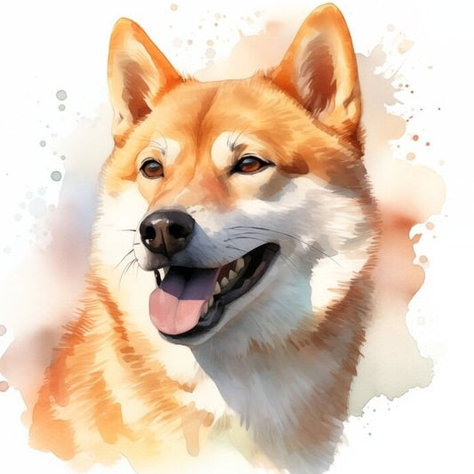 Shiba Inu Dog | Diamond Painting