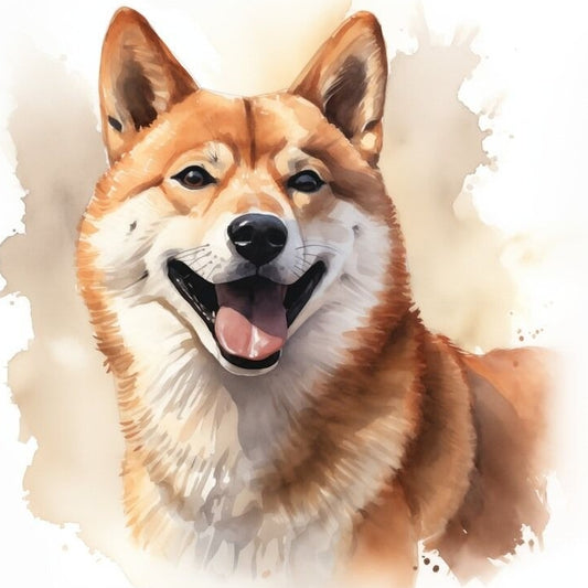 Shiba Inu Dog | Diamond Painting