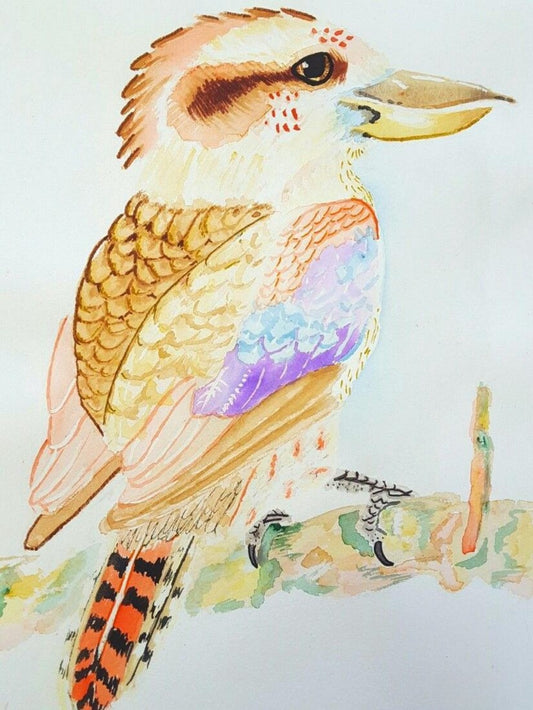 Kookaburra | Diamond Painting