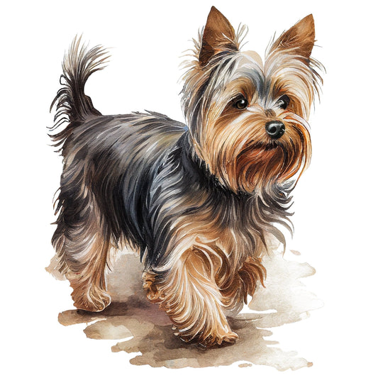 Dog Yorkie | Diamond Painting