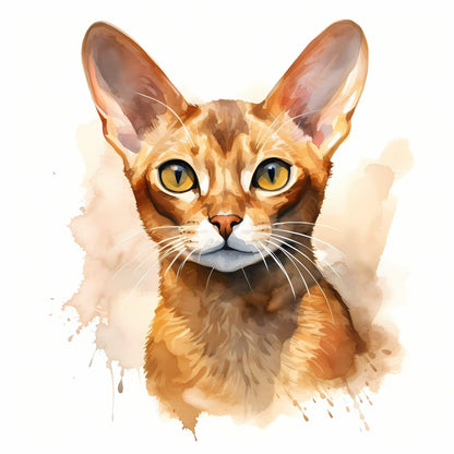 Abyssinian Cat | Diamond Painting