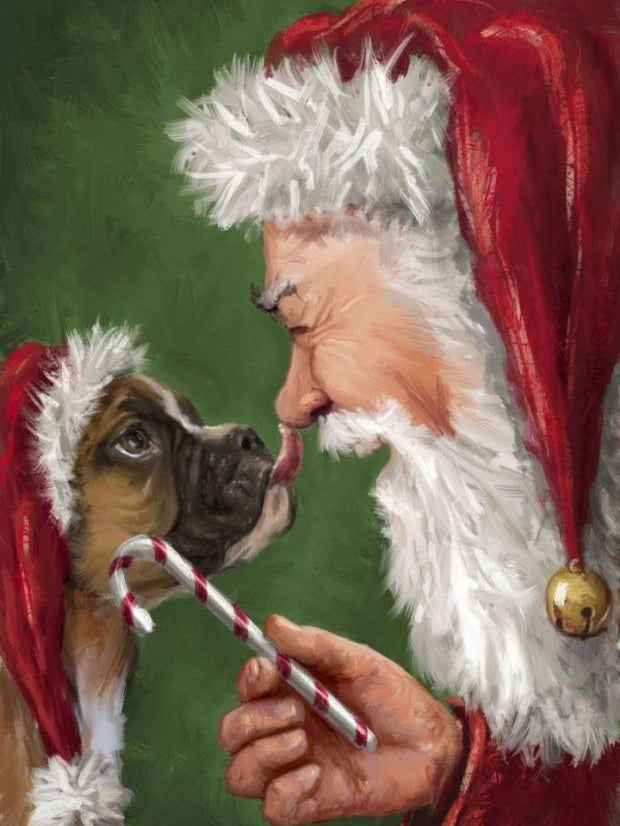 Christmas Dog | Diamond Painting