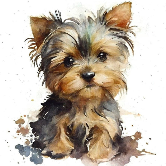 Dog Yorkie | Diamond Painting