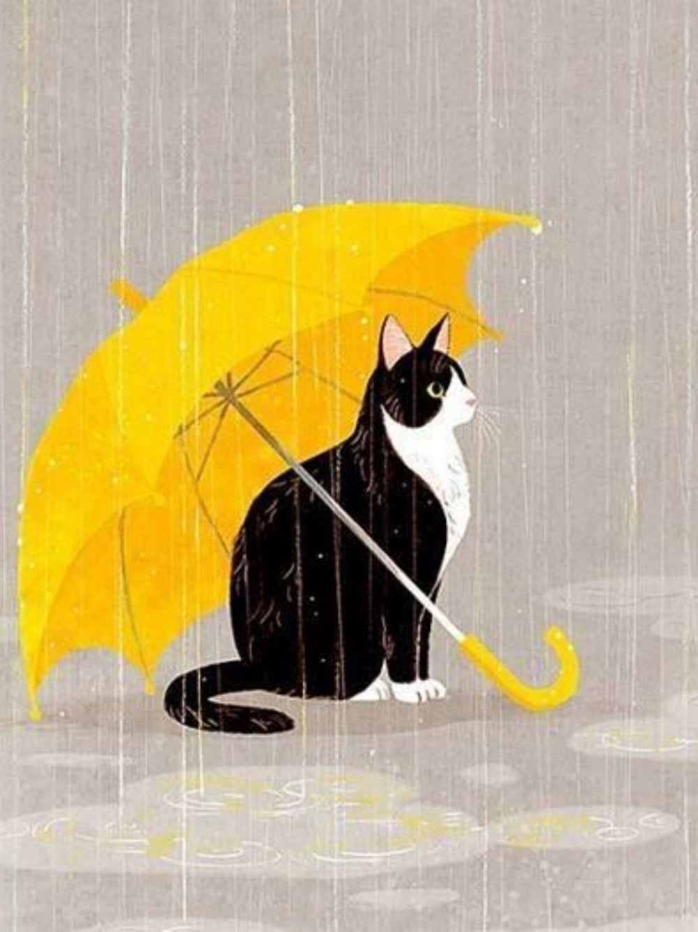 Raining Cat and Dog | Diamond Painting