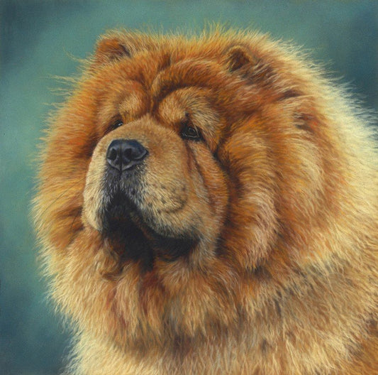 Dog Chow Chow | Diamond Painting