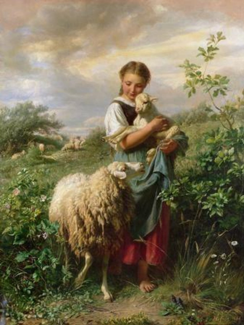 Sheep | Diamond Painting