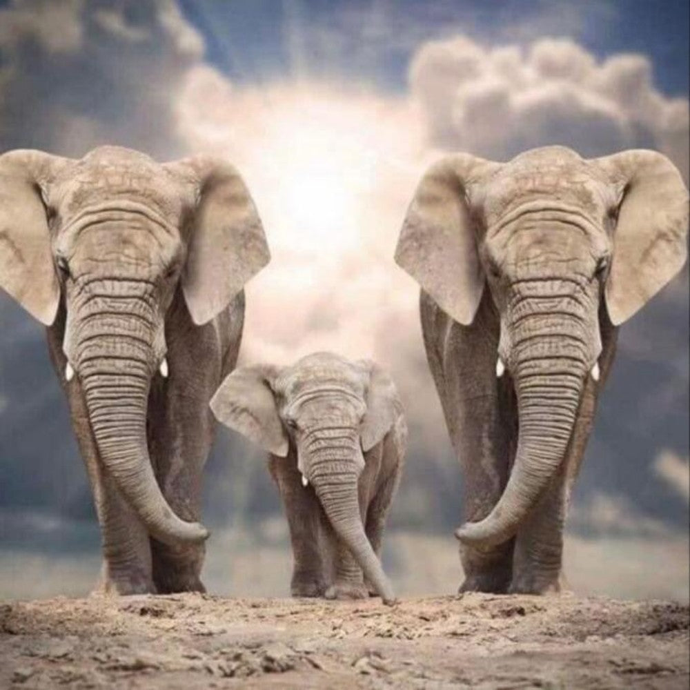 Elephant | Diamond Painting