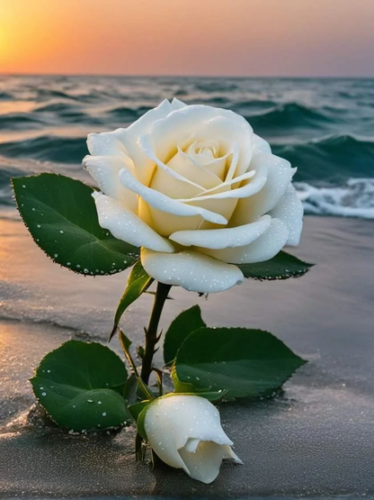 Flower | Diamond Painting