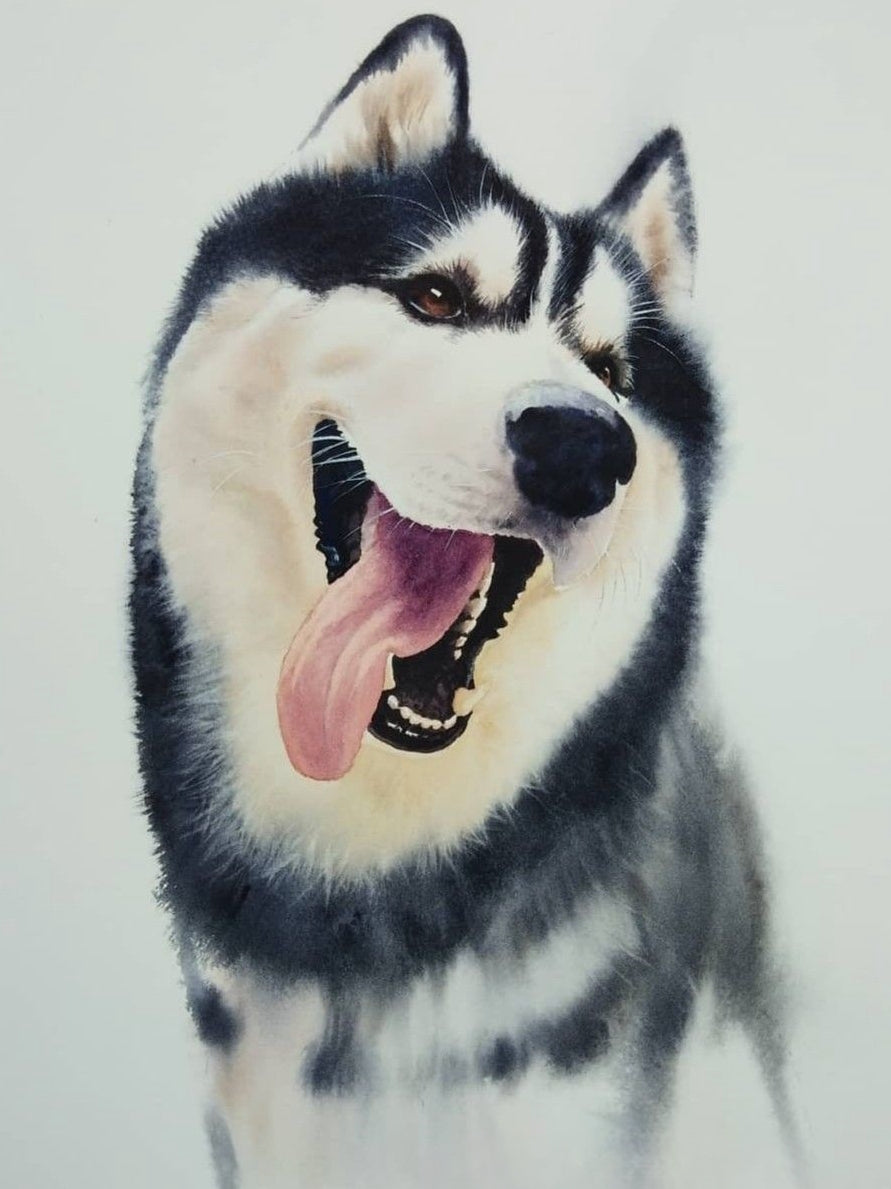 Husky Dog | Diamond Painting