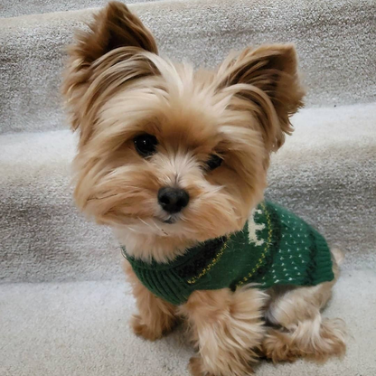 Dog Yorkie | Diamond Painting