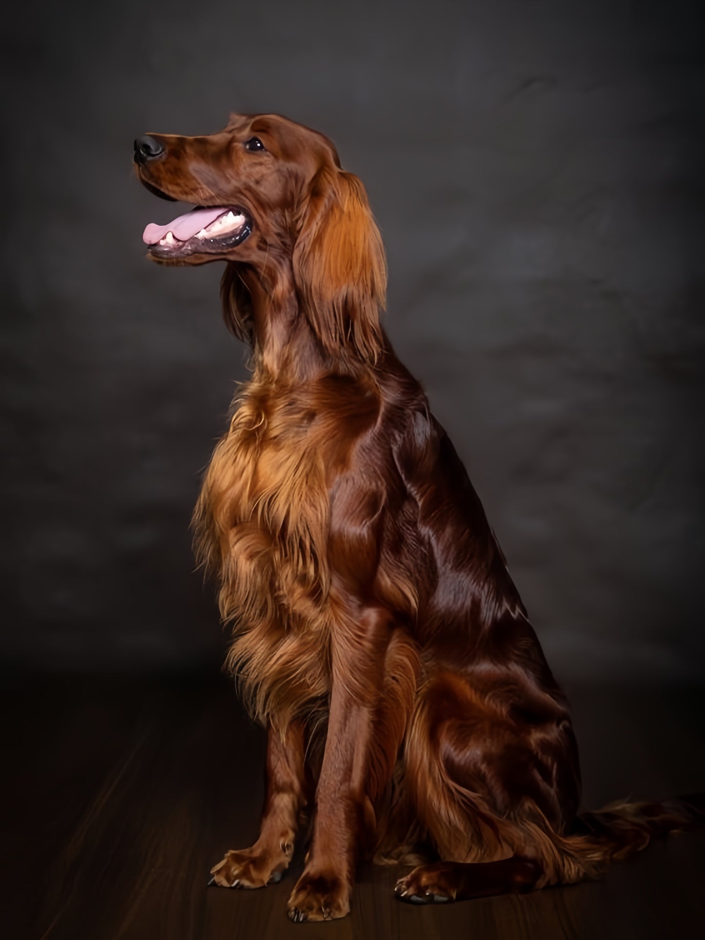 Irish Setter Dog | Diamond Painting