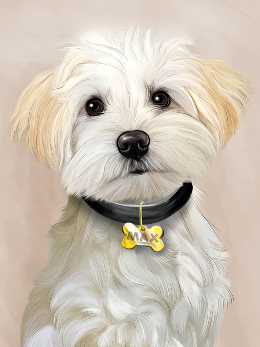 Maltese Dog | Diamond Painting