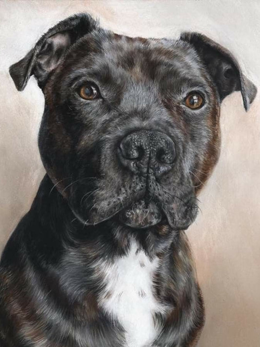 Dog Staffordshire Bull Terrier | Diamond Painting
