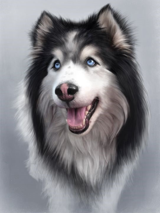 Husky Dog | Diamond Painting