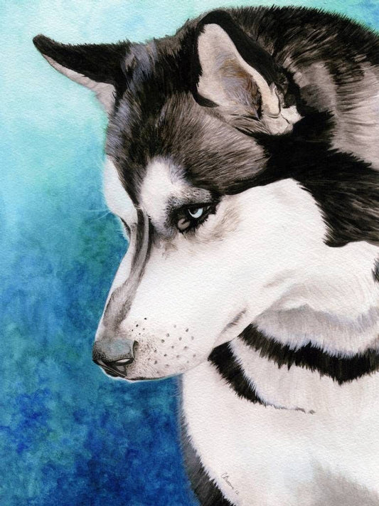 Husky Dog | Diamond Painting