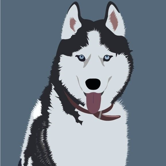 Husky Dog | Diamond Painting