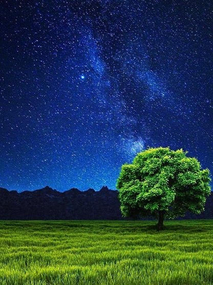 Landscape | Diamond Painting