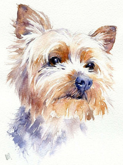 Dog Yorkie | Diamond Painting