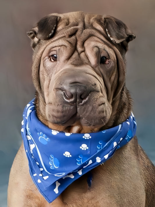 Shar Pei Dog | Diamond Painting