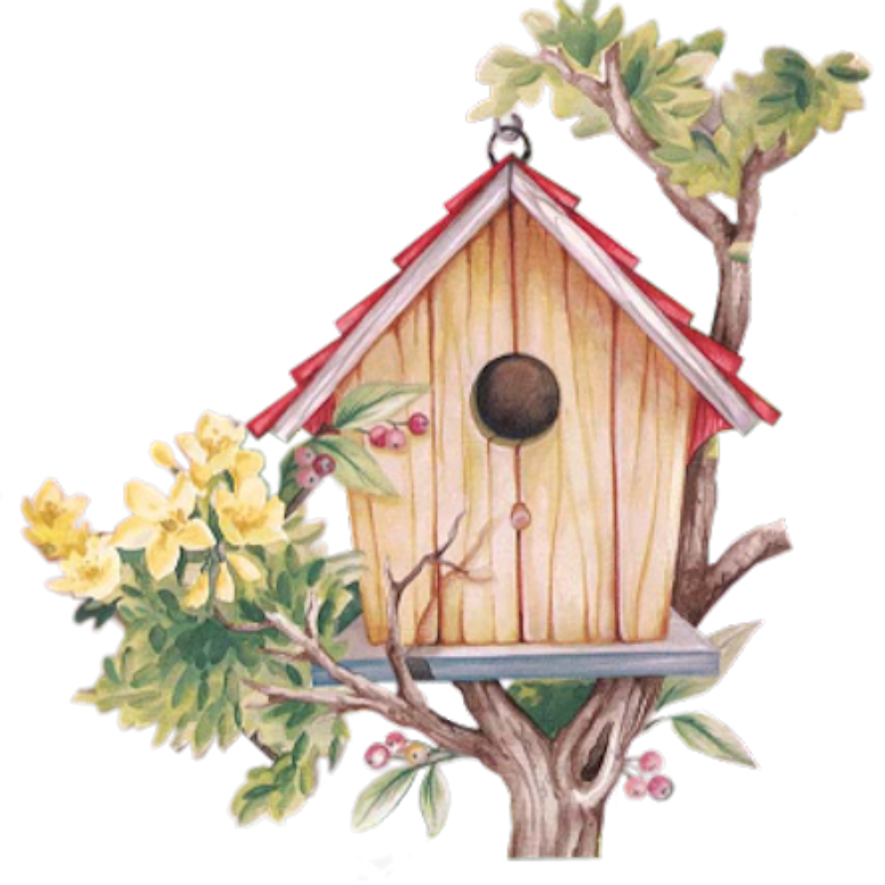 Bird House | Diamond Painting