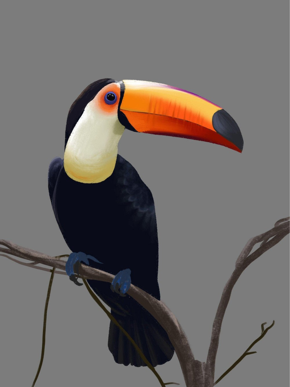 Toucan Bird | Diamond Painting