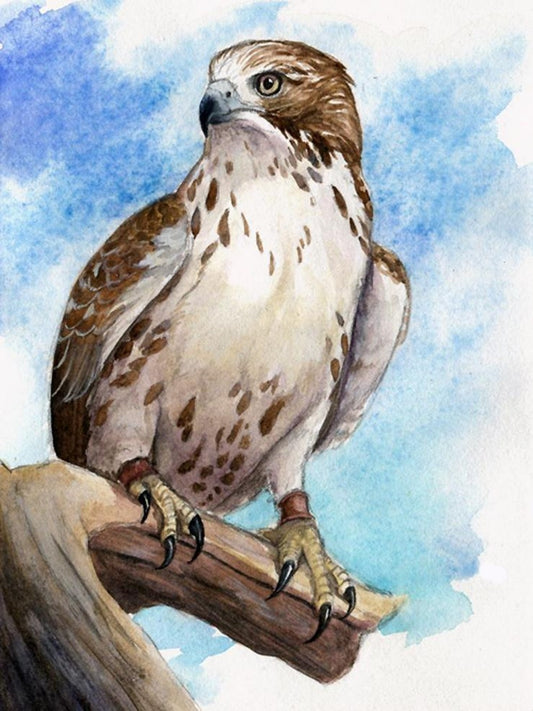 Falcon | Diamond Painting