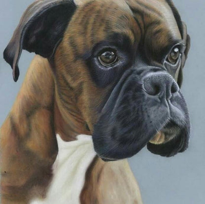 Boxer Dog | Diamond Painting