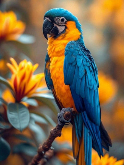 Macaw | Diamond Painting