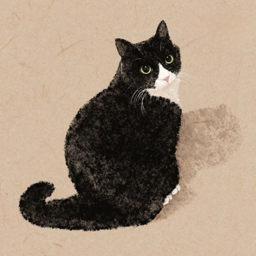 Tuxedo Cat  | Diamond Painting