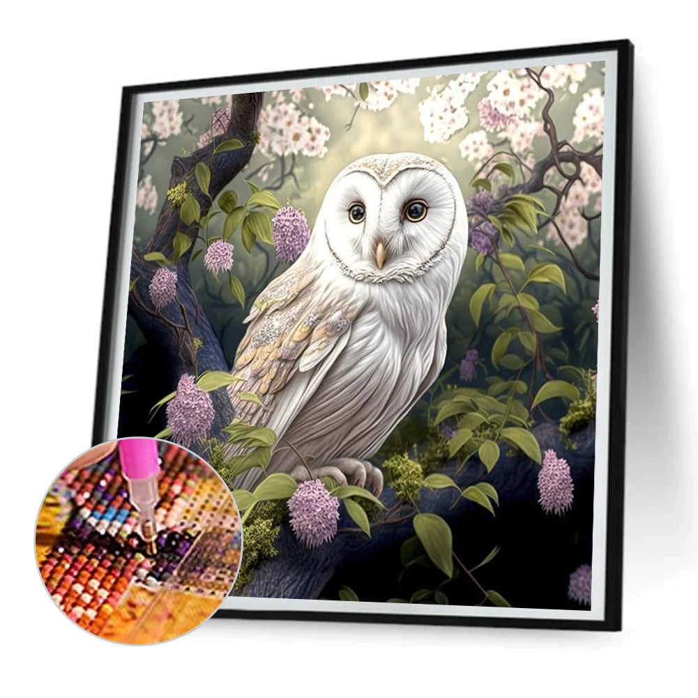 Owl | Diamond Painting