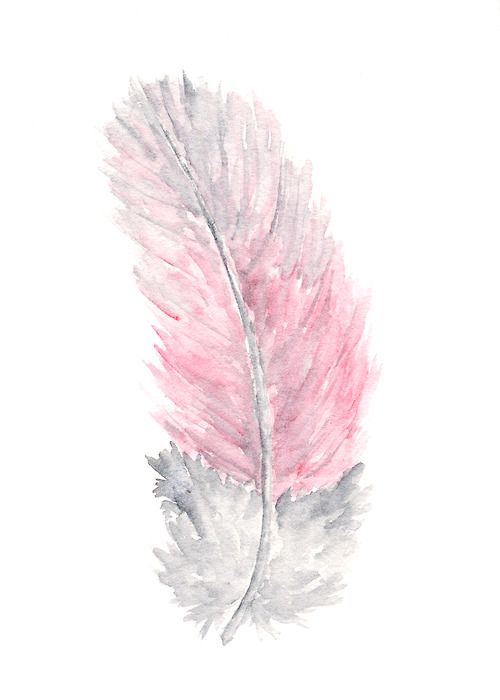 Feather | Diamond Painting