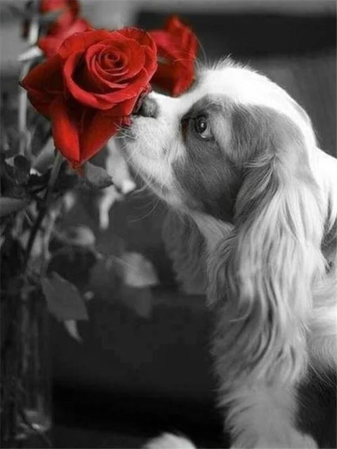 Rose Dog Cocker Spaniel | Cross Stitch Embroidery