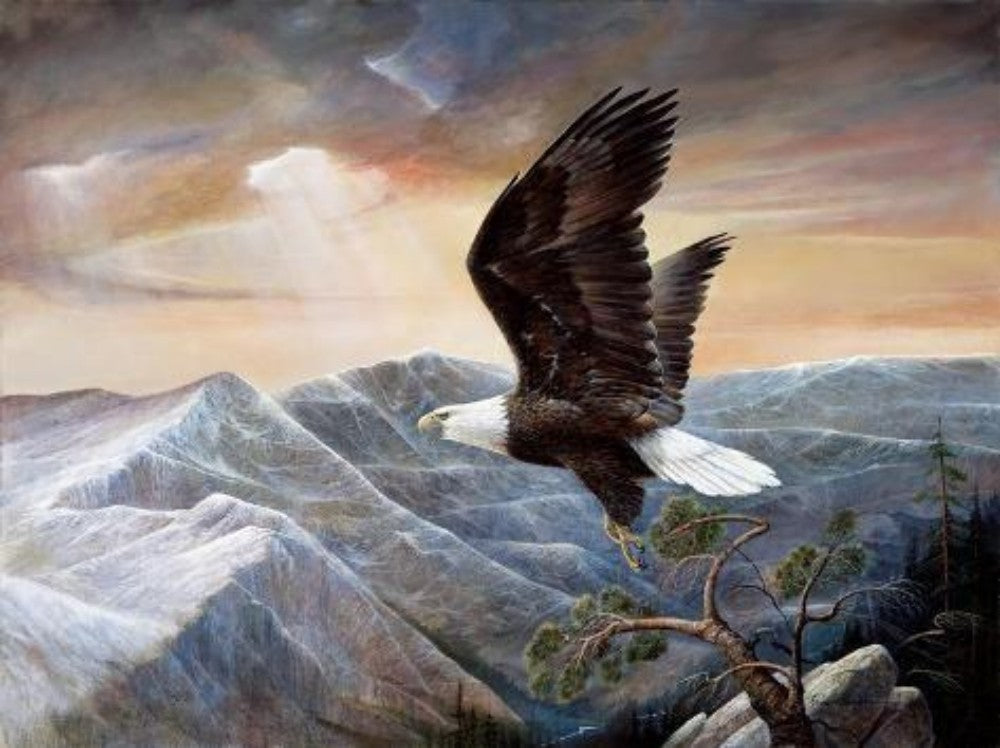 Eagle | Diamond Painting