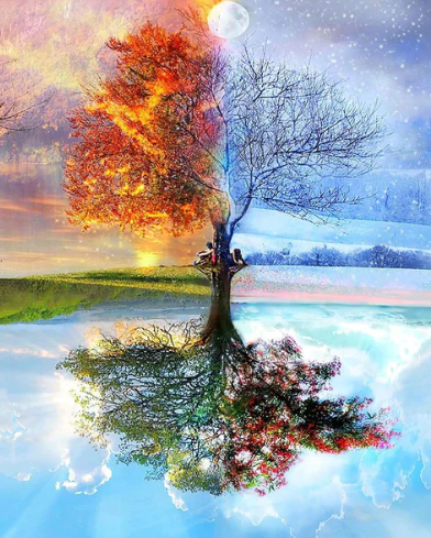 Tree Of The Four Seasons | Diamond Painting