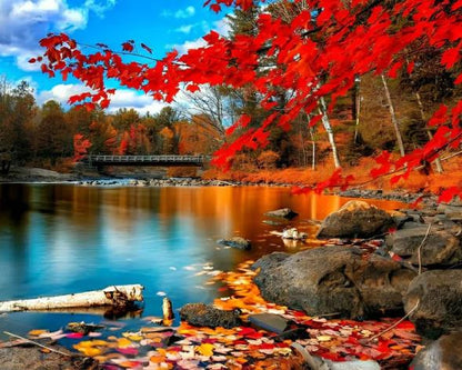Autumn Season | Diamond Painting