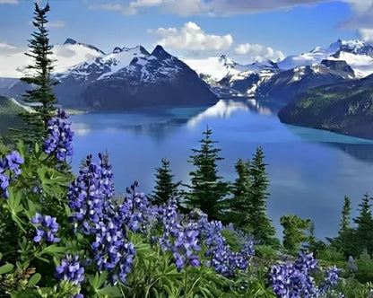 Flowers | Diamond Painting