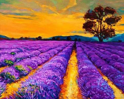 Lavender Fields | Diamond Painting