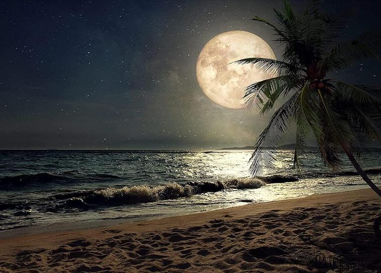 Beach At Night | Diamond Painting