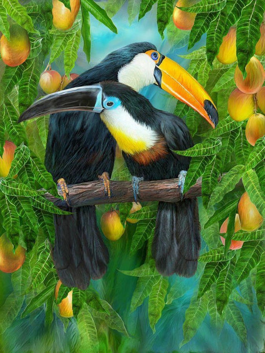 Toucan Bird | Diamond Painting