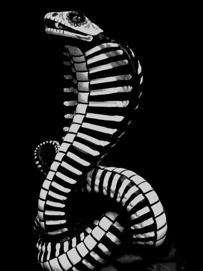 Cobra Snake | Diamond Painting