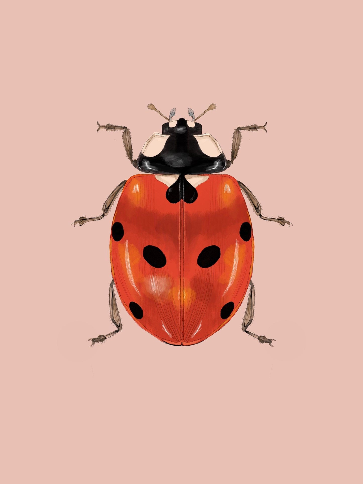 Ladybug | Diamond Painting