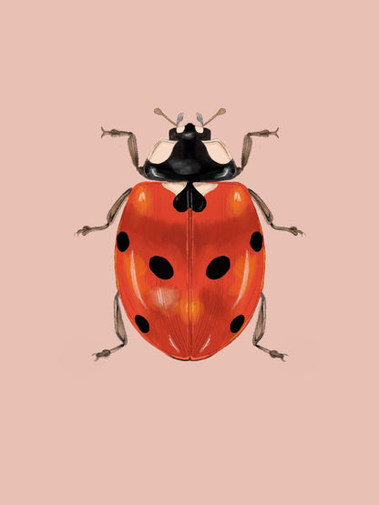 Ladybug | Diamond Painting