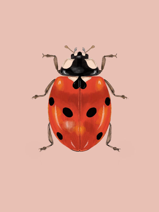 Ladybug | Diamond Painting