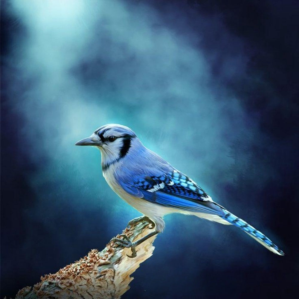 Blue Jay | Diamond Painting