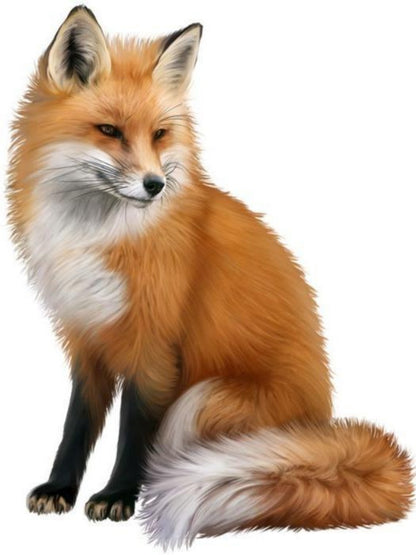 Fox | Diamond Painting
