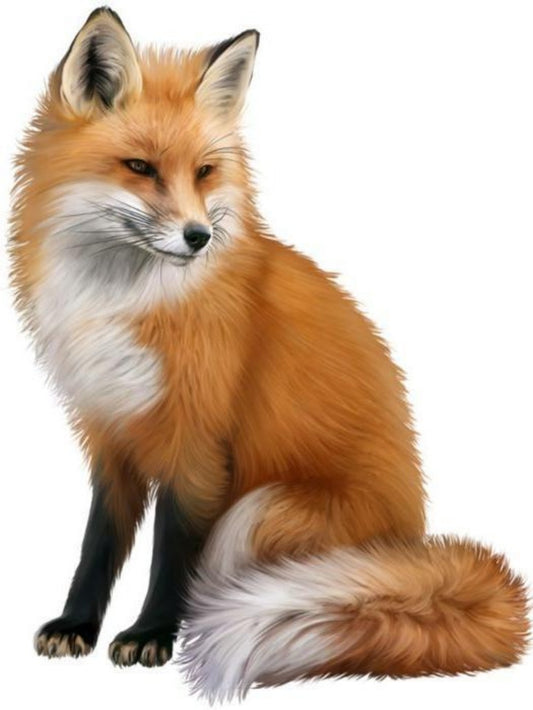 Fox | Diamond Painting
