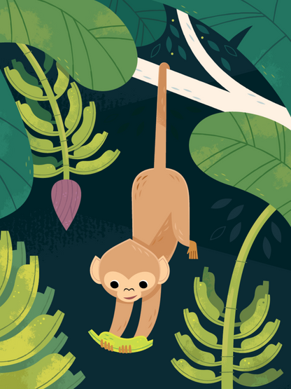 Monkey | Diamond Painting