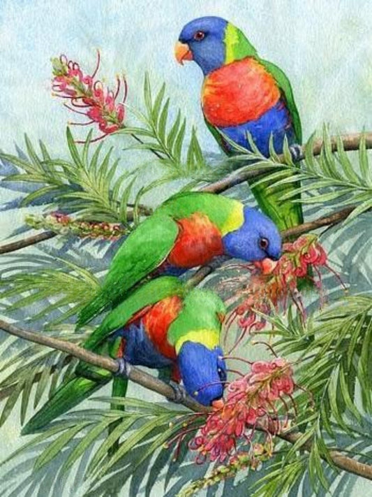 Rainbow Parrots | Diamond Painting