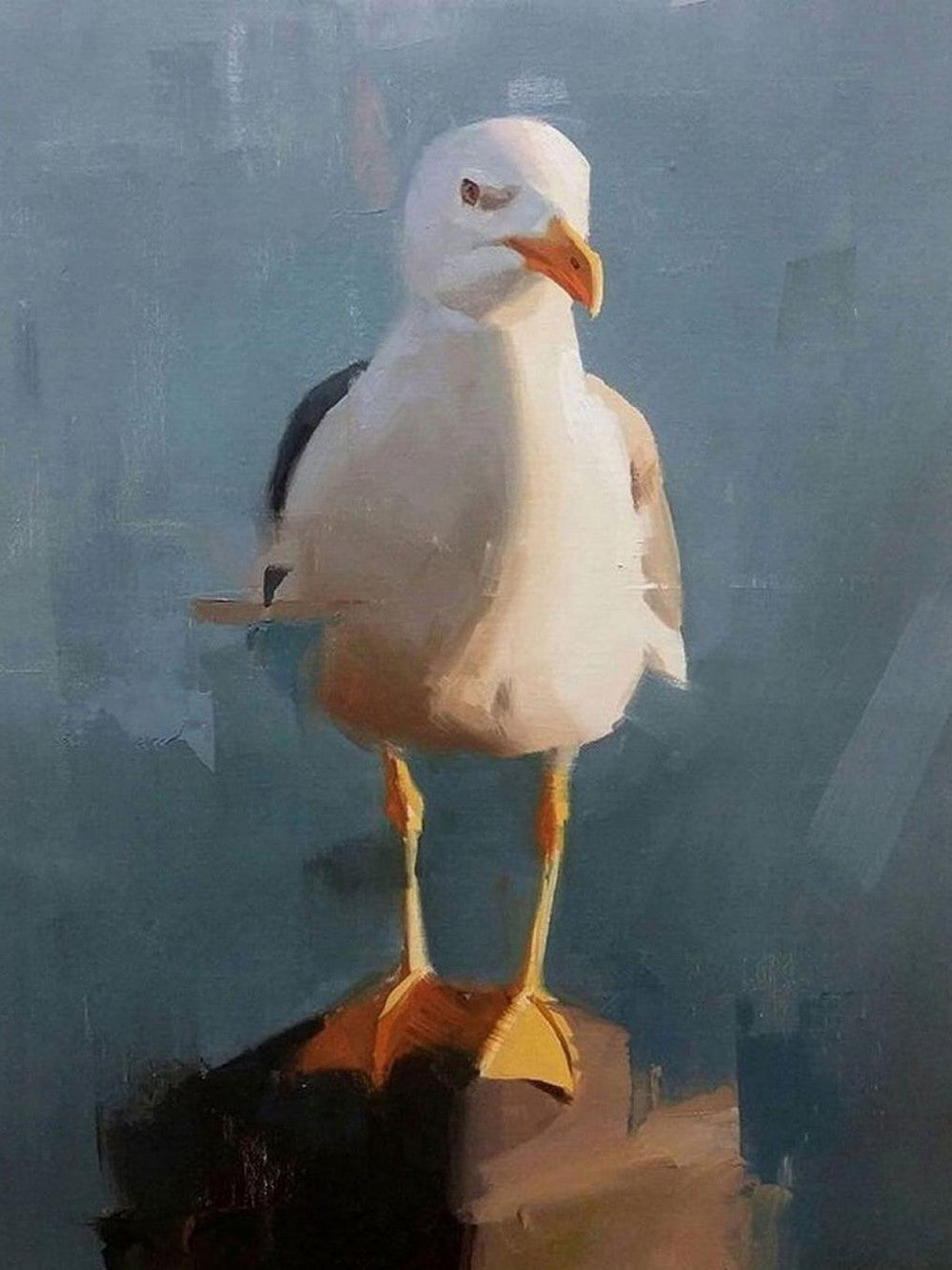 Gull | Diamond Painting
