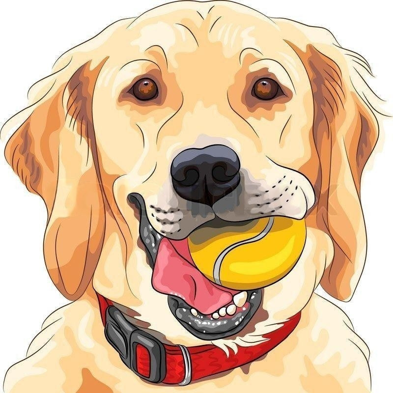 Yellow Labrador Dog | Diamond Painting
